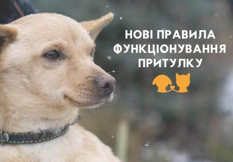 Стаття Притулок для тварин «Сіріус» планують зменшити Ранкове місто. Донбас