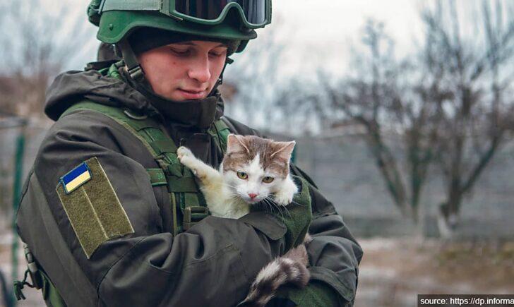 Стаття Save Pets of Ukraine: як можна допомогти чотирилапим під час війни? ФОТО Ранкове місто. Донбас