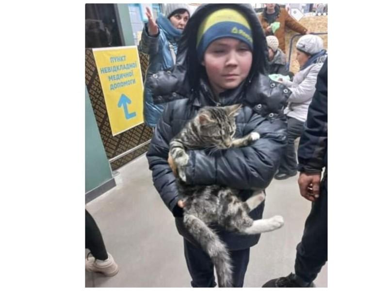 Стаття Маленькі герої. Хлопчик з Маріуполя після 15 діб в окупації, евакуювався з котом Ранкове місто. Донбас