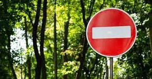 Стаття На Донетчине и Луганщине действует запрет посещения лесов Ранкове місто. Донбас
