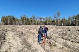 Стаття В Лимане на Донетчине началась весенняя высадка леса Ранкове місто. Донбас
