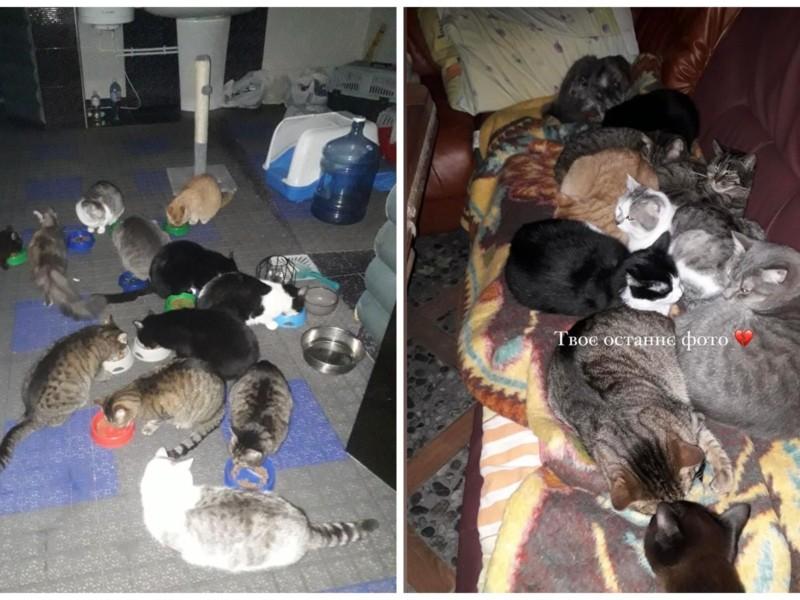 Стаття Рашисти вбили чоловіка, який доглядав 13 котів, донька благає врятувати тварин Ранкове місто. Донбас