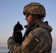 Стаття Українські бійці рятують життя домашнім тваринам: зворушливі фото Ранкове місто. Донбас