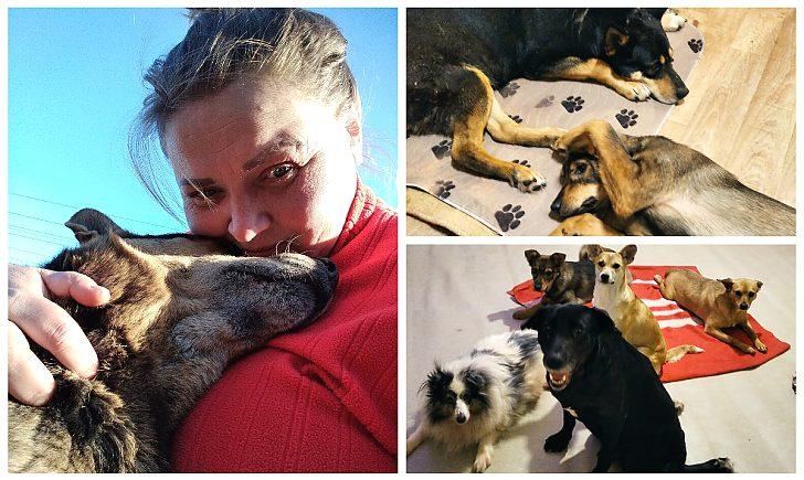 Стаття «Сотні котів та собак тепер на вулиці»: волонтерка з Донеччини рятує тварин, яких покинули, тікаючи від війни Ранкове місто. Донбас