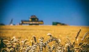 Стаття Несмотря на войну: на Донетчине ведется посевная ранних зерновых Ранкове місто. Донбас