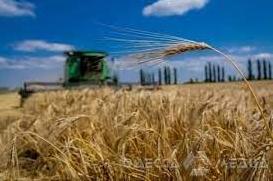 Стаття Фермеры Одесской области первыми в Украине начали собирать урожай Ранкове місто. Донбас