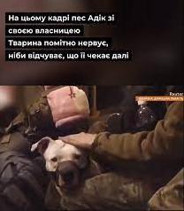 Стаття Оккупанты украли собаку у военных с Азовстали и подарили ее Кадырову, - СМИ Ранкове місто. Донбас