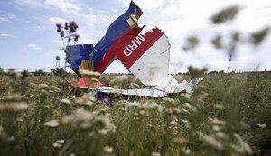 Стаття За збиття літака рейсу МН17 відповідальна Росія, - резолюція ПАРЄ Ранкове місто. Донбас