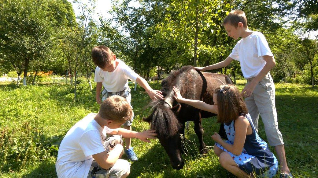 Стаття Семья из Донетчины эвакуировала шесть детей с инвалидностью и лошадей в Прикарпатье Утренний город. Донецьк