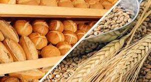 Стаття На юге Украины собрали уже более 300 тысяч тонн хлеба Ранкове місто. Донбас