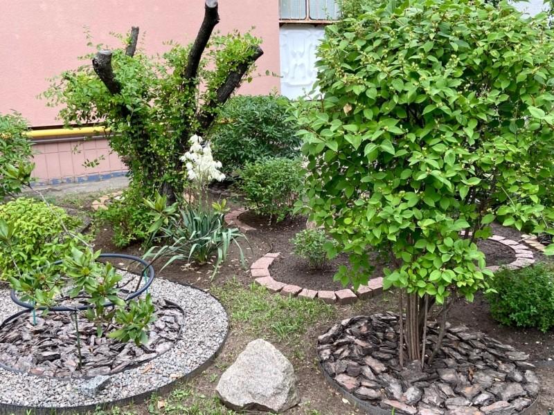 Статья Киянка перетворила територію біля свого будинку на розкішний міні-сад – фото Утренний город. Донецк