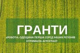 Стаття Аграрії Одещини отримали перший грант в межах програми «єРобота» Ранкове місто. Донбас