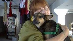 Стаття У Луцьку запрацював пункт допомоги переселенцям з тваринами Ранкове місто. Донбас