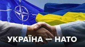 Стаття Україна подає заявку на вступ до НАТО у пришвидшеному порядку, - Зеленський. ВIДЕО Утренний город. Донецьк