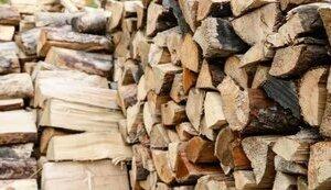 Стаття Жителям прифронтових територій почнуть доставляти безкоштовні дрова наступного тижня Ранкове місто. Донбас