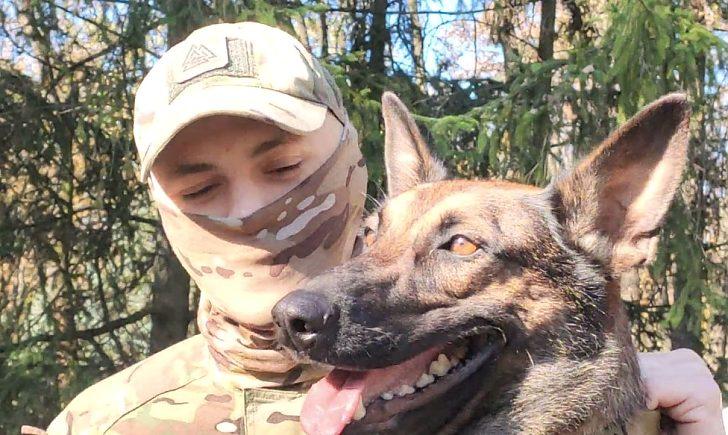 Стаття Подолав під обстрілами 15 км і знайшов свій дім: собака Джекі самотужки вибрався із «Азовсталі» Ранкове місто. Донбас
