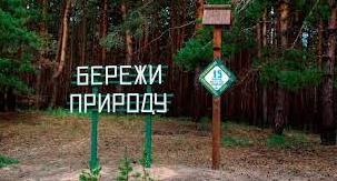 Стаття Життя після деокупації: як Лиманський лісгосп відновлює свою роботу Ранкове місто. Донбас