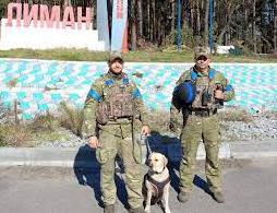 Стаття Чотирилапі герої: службові собаки допомагають повернути безпеку в деокуповані міста на Донеччині Ранкове місто. Донбас