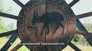 Стаття Вона, ну дуууже мила: в степах Одещини знайшли рідкісну тваринку (фото) Ранкове місто. Донбас