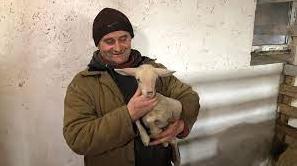 Стаття Ферма на Прикарпатті стала прихистком для понад пів сотні тварин із Бахмута Утренний город. Донецьк