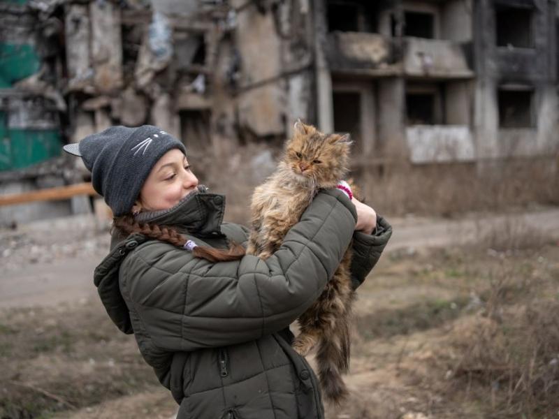 Стаття 10-річна Вероніка кожного дня приходить до свого зруйнованого дому в Бородянці, щоб нагодувати котів Ранкове місто. Донбас