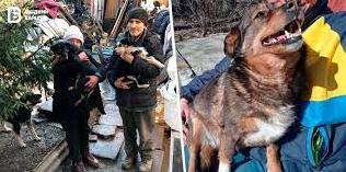 Стаття «Вивезла вісім безпритульних собак з Луганщини». Де шукати допомогу тим, хто рятує тварин Утренний город. Донецьк