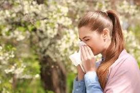 Стаття Для алергіків створено карту відстеження цвітіння: як полегшити симптоми алергії Ранкове місто. Донбас