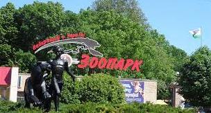 Стаття Як виглядає Миколаївський зоопарк, який переживає вже третю війну (фоторепортаж) Ранкове місто. Донбас