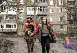 Стаття Волонтери врятували понад пів сотні тварин з Часового Яру Ранкове місто. Донбас