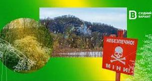 Стаття Врятувати «донецьку Швейцарію»: що відбувається з природним нацпарком «Святі гори» у часи війни Ранкове місто. Донбас
