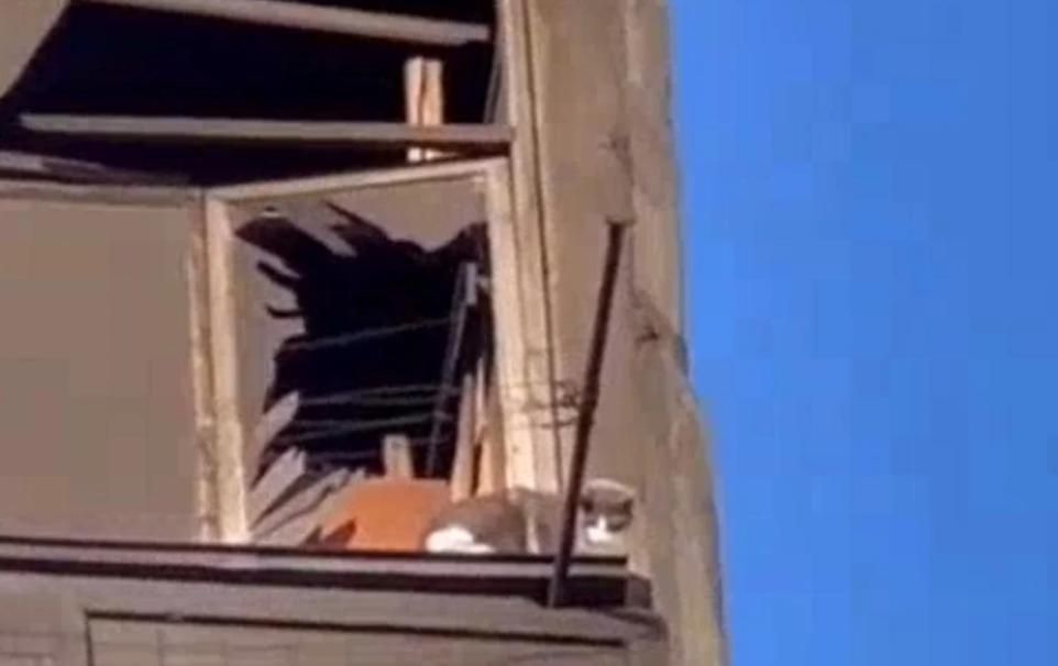 Стаття В Умані зі зруйнованого ракетним ударом будинку врятували котика: відео торкнулося мережі Ранкове місто. Донбас