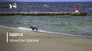 Стаття В Одесі облаштовують муніципальні пляжі: правила користування (фото) Ранкове місто. Донбас