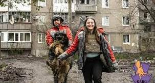 Стаття «Врятовано понад 400 пухнастиків»: як київські волонтери евакуюють тварин зі сходу України Ранкове місто. Донбас