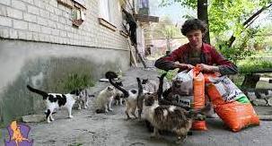 Стаття Зоозахисники розповіли про проблеми розміщення та прилаштування тварин на прифронтових територіях Ранкове місто. Донбас