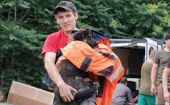 Стаття Телефон розривається від охочих допомогти: волонтери про порятунок тварин у Херсоні. ФОТО Ранкове місто. Донбас