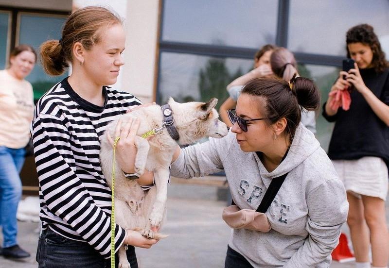 Стаття Центр адопції Patron Pets Center на ВДНГ надає допомогу та прихисток тваринам з Херсонщини Ранкове місто. Донбас