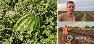 Стаття На Херсонщині фермер дві доби боровся з повінню і врятував урожай. Відео Ранкове місто. Донбас