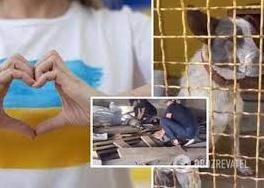 Стаття Робили масаж серця: волонтерам вдалося повернути до життя собаку з Херсонської області. Відео Ранкове місто. Донбас