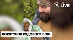 Стаття Захисники врятували життя лисеня на Донеччині (ВІДЕО) Ранкове місто. Донбас