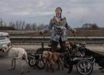 Стаття Мурал у Києві присвятили зоозахисниці з Ірпеня, яка вивела з міста десятки тварин Ранкове місто. Донбас
