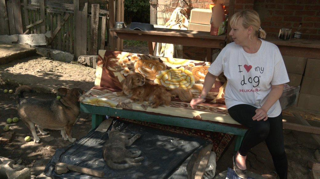 Стаття Жителька Краматорська врятувала понад 70 тварин і мріє створити притулок Ранкове місто. Донбас