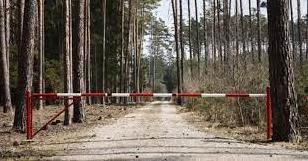 Стаття На території Донеччини діє заборона відвідування лісових масивів, - ДСНС Ранкове місто. Донбас