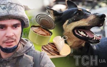 Стаття “Гідна того, щоб про неї знали”: як собака Жужа врятувала бійців ЗСУ на позиції в Бахмуті (фото) Ранкове місто. Донбас