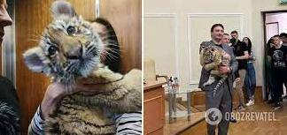Стаття У московському цирку померло тигреня, яке росіяни вкрали із зоопарку Маріуполя. Фото Ранкове місто. Донбас