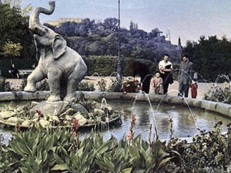 Стаття “Слона” зробили жертвою “дружби народів”: 50 років тому у Києві функціонував незвичайний фонтан Ранкове місто. Донбас