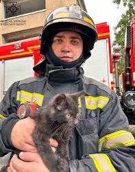 Стаття Під час гасінні пожежі в Одесі вдалось врятувати одну людину та 14 тварин (фото, відео) Ранкове місто. Донбас