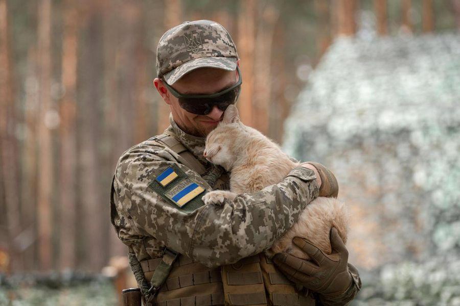 Стаття Наймиліший захисник: котик на псевдо «Сметана» служить на північних кордонах (фото) Ранкове місто. Донбас