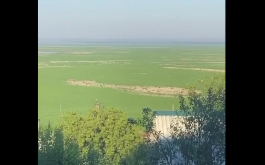 Стаття Там, де раніше були глибокі води, тепер рясніє густа зелена трава Ранкове місто. Донбас
