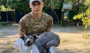 Стаття Поліціянти врятували хворого, знесиленого собаку в Кураховому Ранкове місто. Донбас