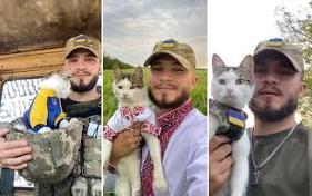 Стаття Український бойовий кіт отримав волонтерську відзнаку за допомогу військовим: зворушливі фото Ранкове місто. Донбас